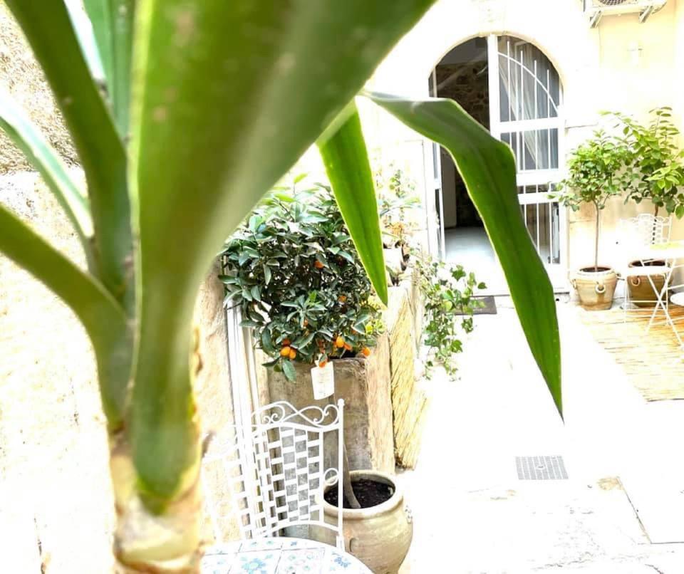 Lemon Suite Ortigia Syrakuzy Zewnętrze zdjęcie